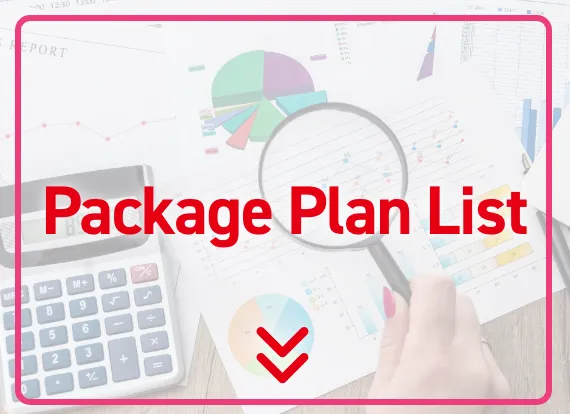 Package Plan List