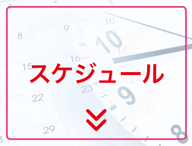 スケジュール